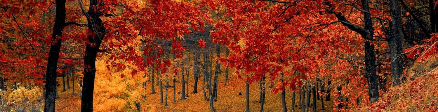 Keep Learning Keep Living